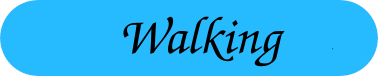 Walking
